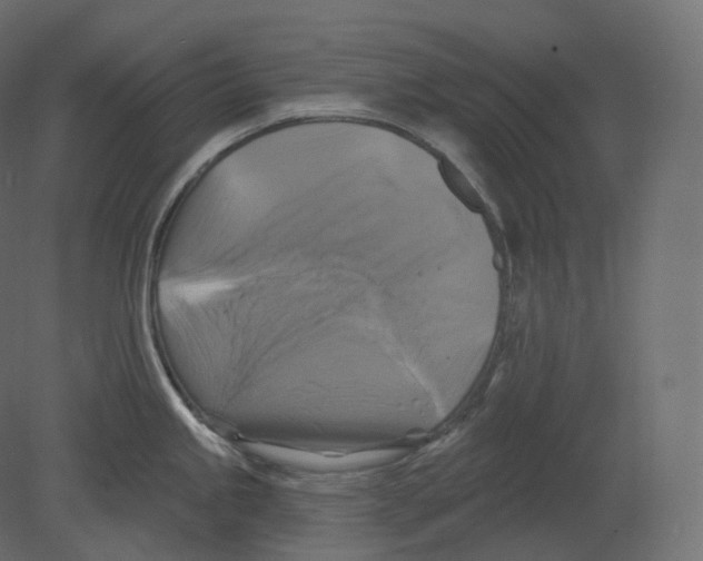 X0000080691245200701121717