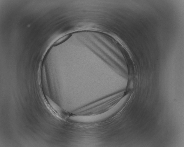 X0000080691246200701121717