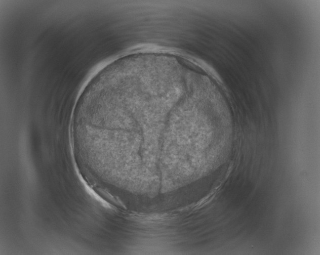 X0000080691247200701121717