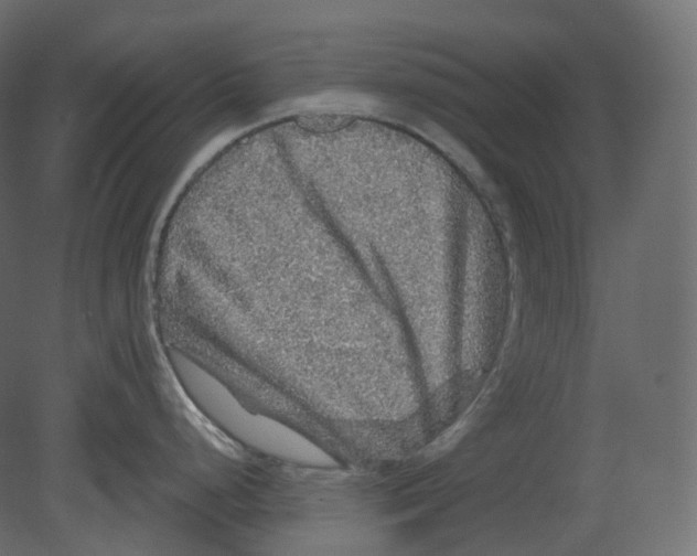 X0000080691248200701121717