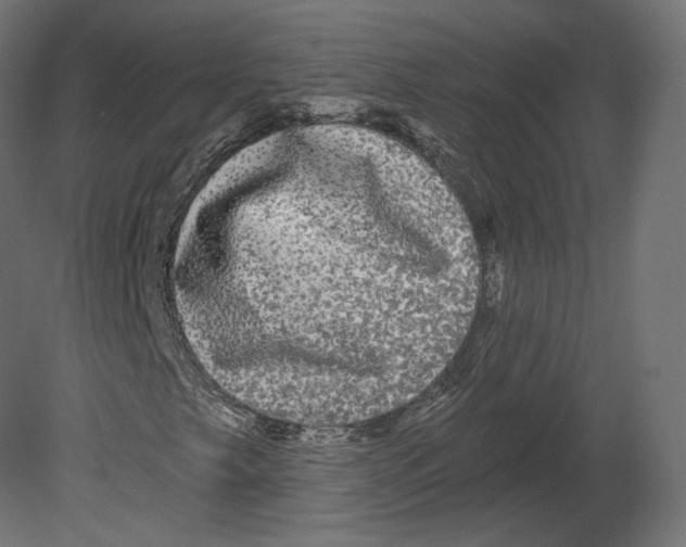 X0000080691249200701121716