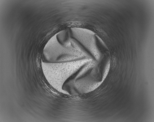 X0000080691250200701121716