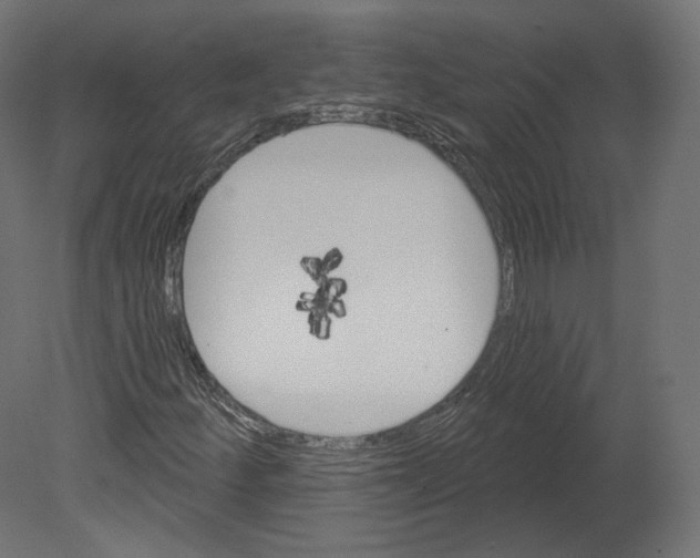 X0000080691252200701121716