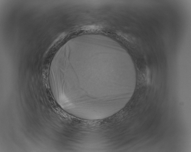 X0000080691254200701121716