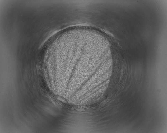 X0000080691255200701121716