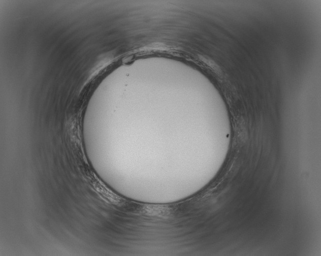 X0000080691258200701121716