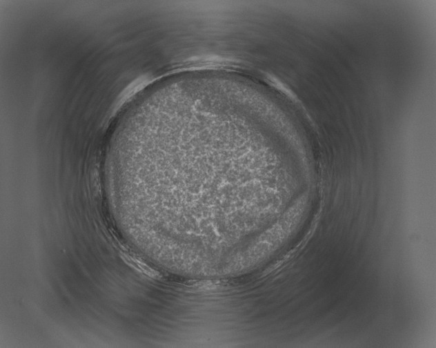 X0000080691259200701121716