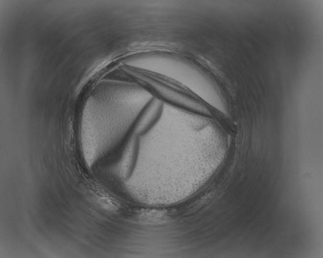 X0000080691261200701121716