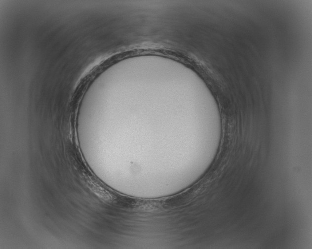 X0000080691262200701121716