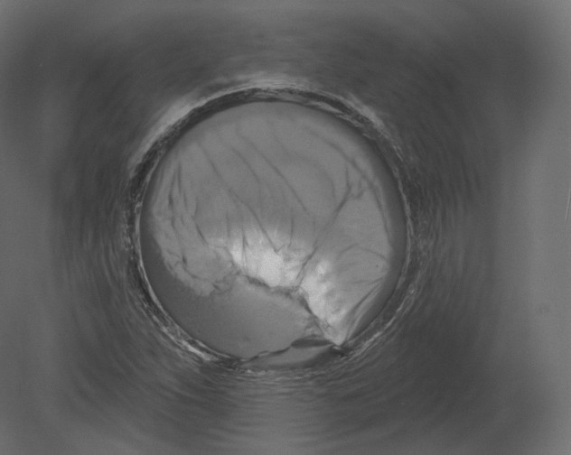 X0000080691263200701121716