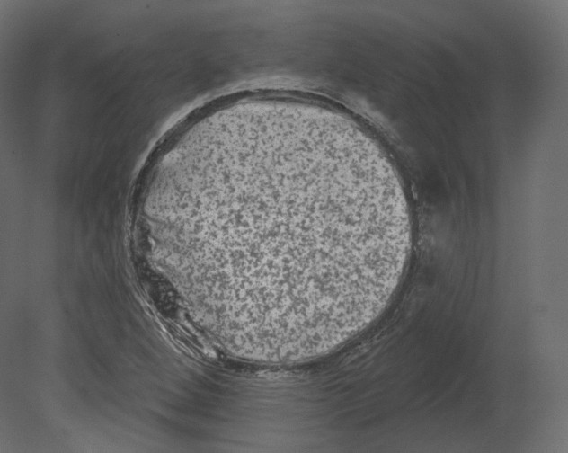 X0000080691264200701121716