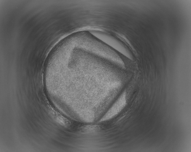 X0000080691268200701121715