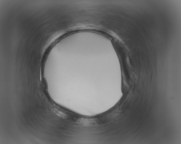 X0000080691269200701121715