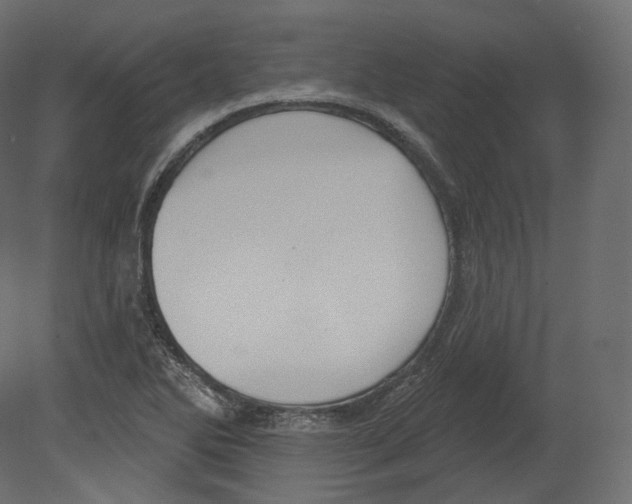 X0000080691270200701121715