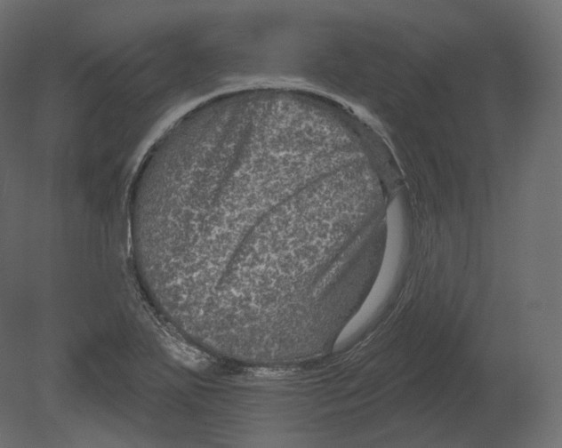 X0000080691271200701121715