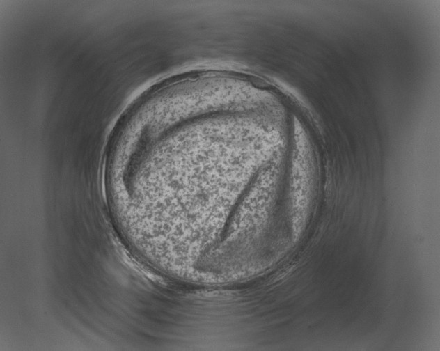 X0000080691272200701121715