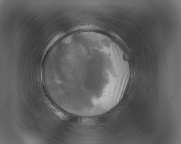 X0000080691274200701121715