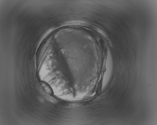 X0000080691275200701121715