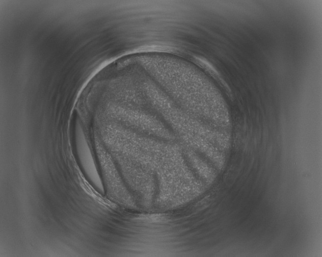 X0000080691276200701121715