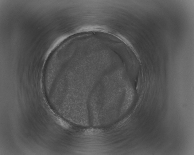 X0000080691277200701121715