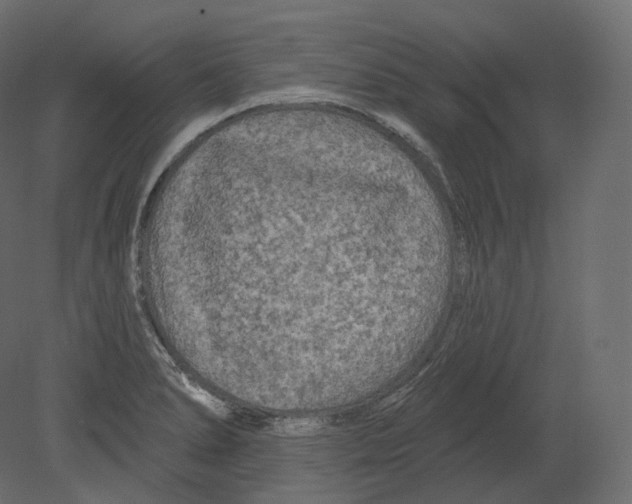 X0000080691278200701121715