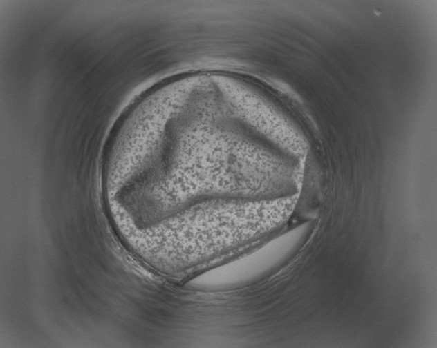 X0000080691280200701121715