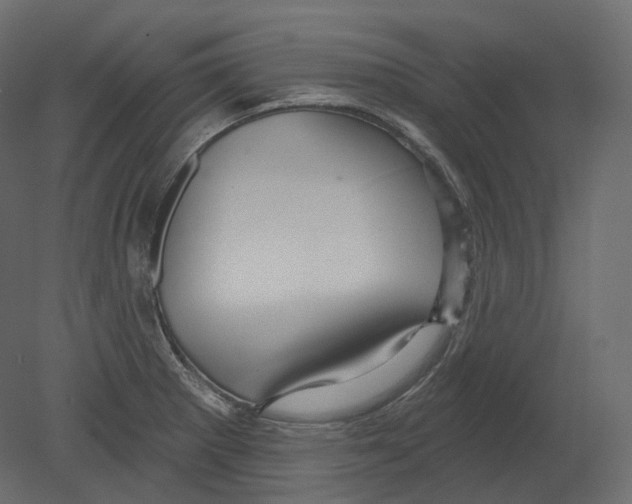 X0000080691281200701121715