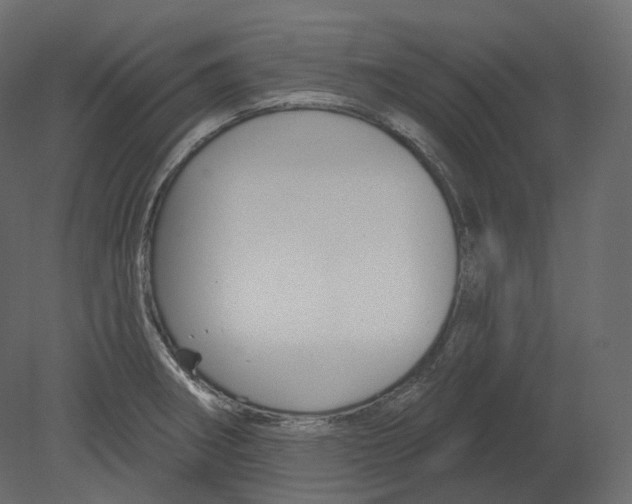 X0000080691282200701121715