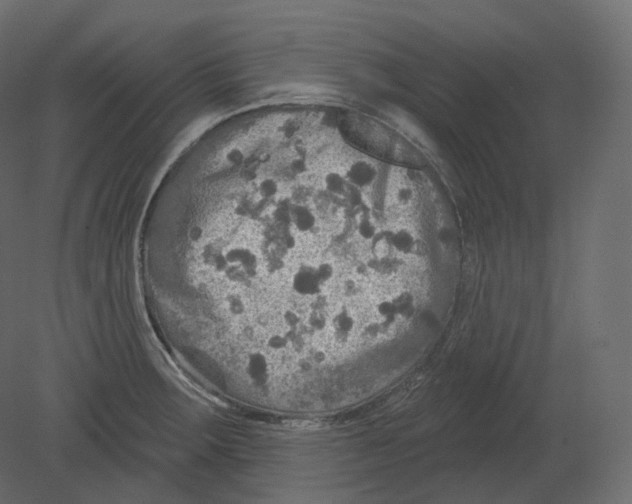 X0000080691283200701121715