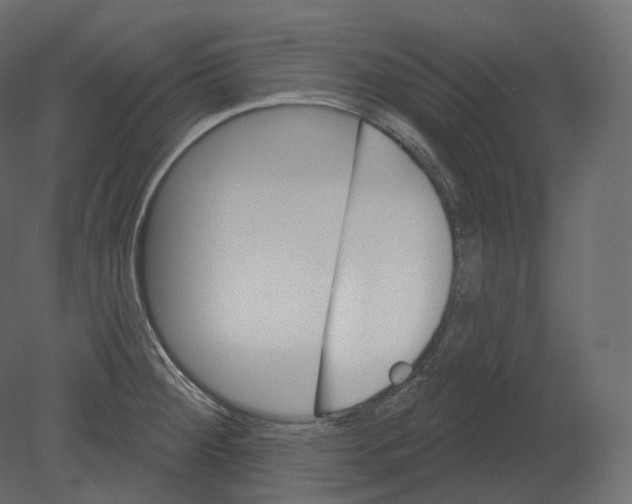 X0000080691284200701121715