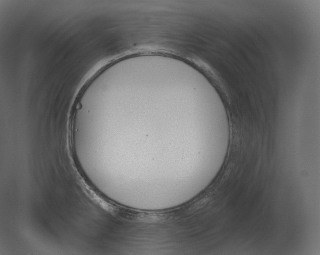 X0000080691286200701121715