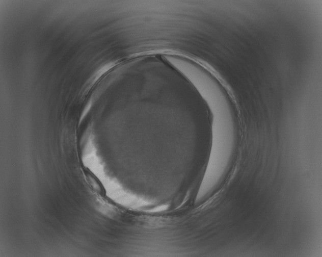 X0000080691289200701121715