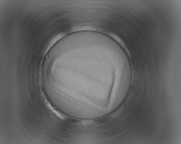 X0000080691290200701121715