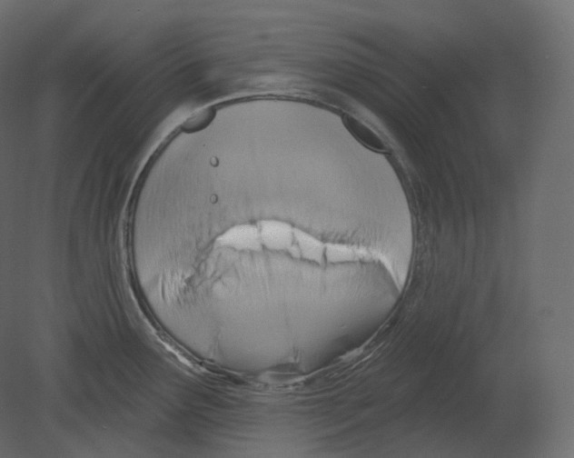 X0000080691291200701121715