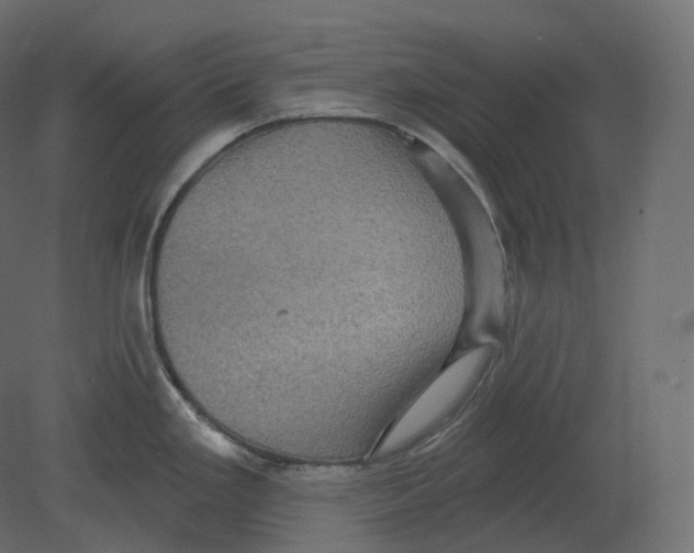 X0000080691293200701121715