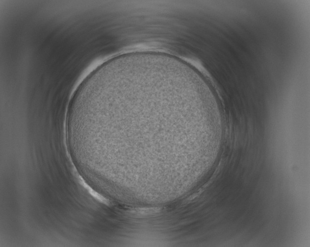 X0000080691294200701121715