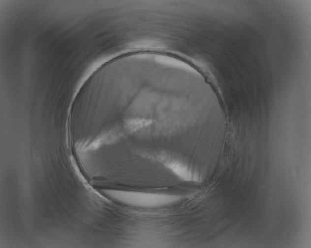 X0000080691295200701121715