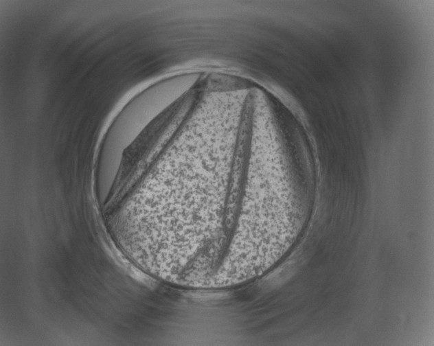 X0000080691296200701121715