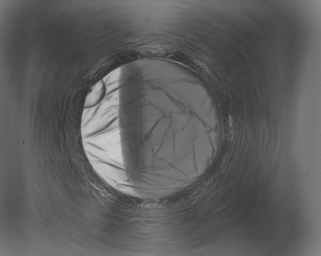 X0000080691297200701121714