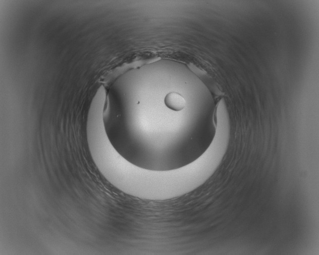 X0000080691298200701121714