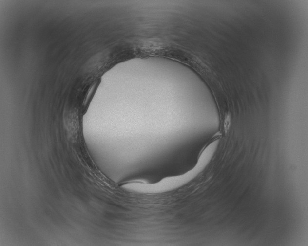 X0000080691299200701121714