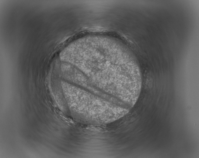 X0000080691301200701121714