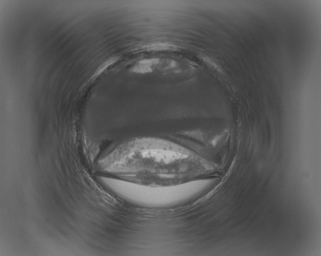 X0000080691305200701121714