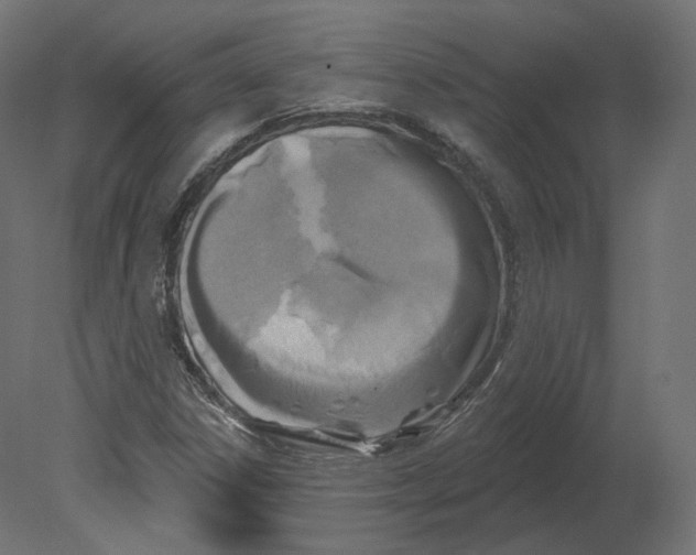 X0000080691306200701121714