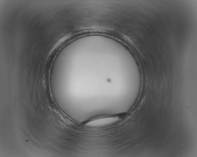 X0000080691307200701121714