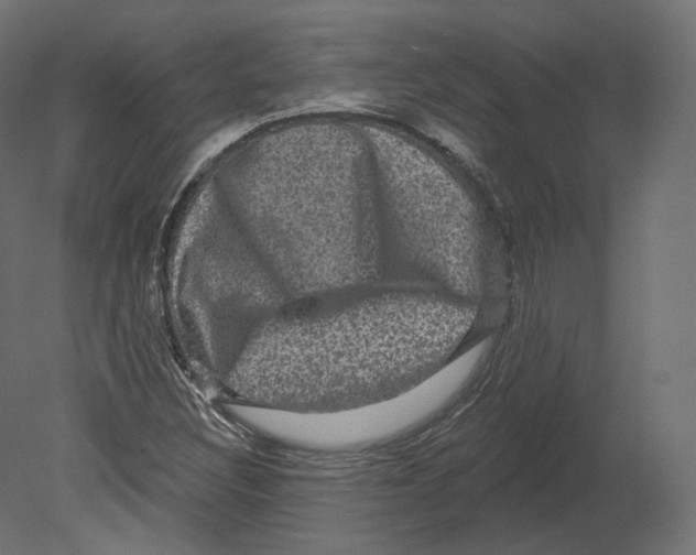 X0000080691308200701121714