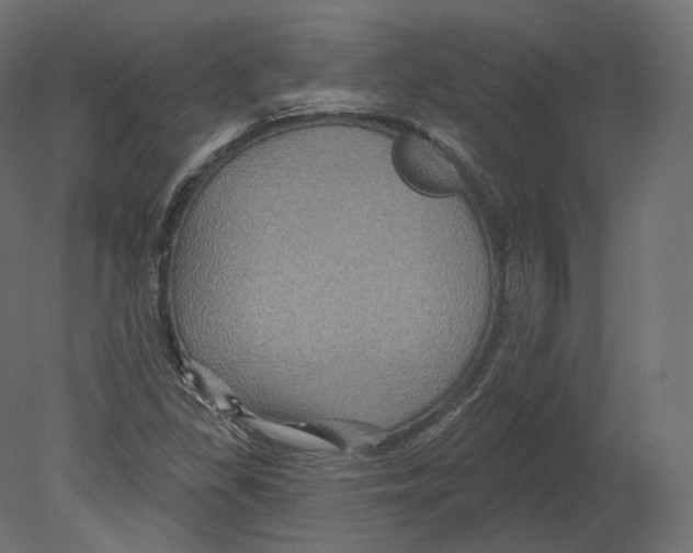 X0000080691309200701121714