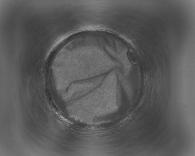 X0000080691311200701121714