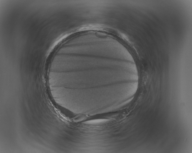 X0000080691312200701121714