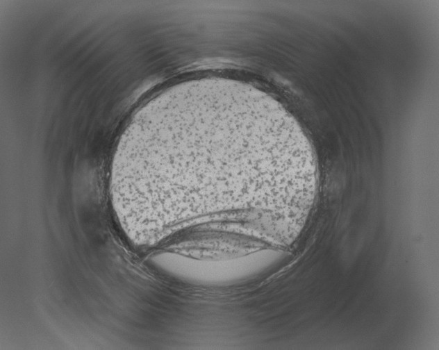 X0000080691313200701121714